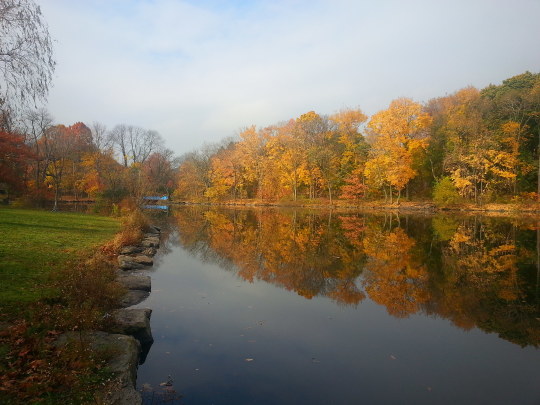 c0328616_11571761.jpg