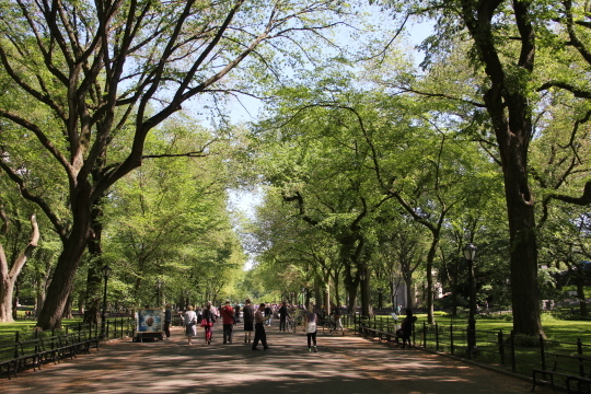 c0328616_12094192.jpg