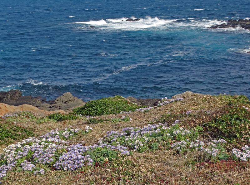 c0042418_7512370.jpg