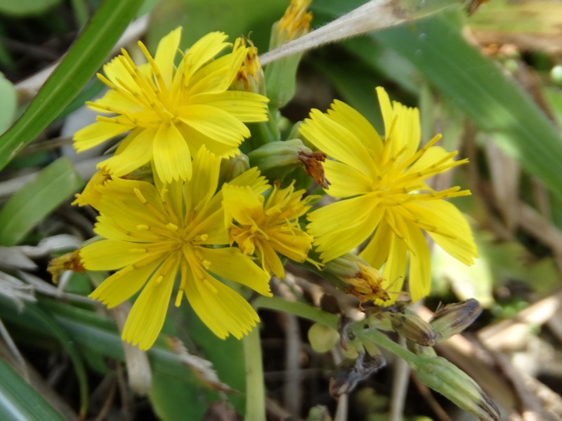 c0042418_7541092.jpg