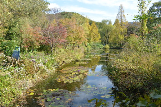 e0135518_17163919.jpg