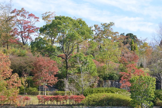e0135518_17183463.jpg