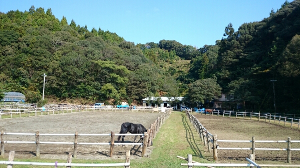 b0187620_21115138.jpg