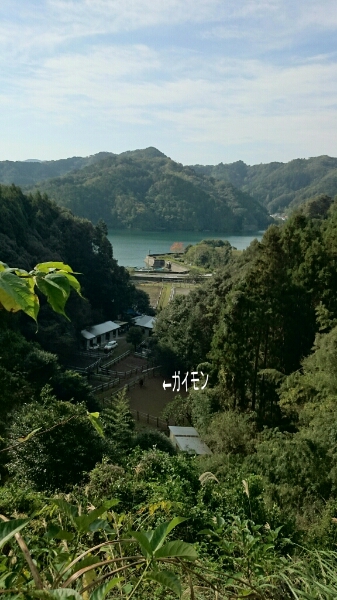 b0187620_21123944.jpg