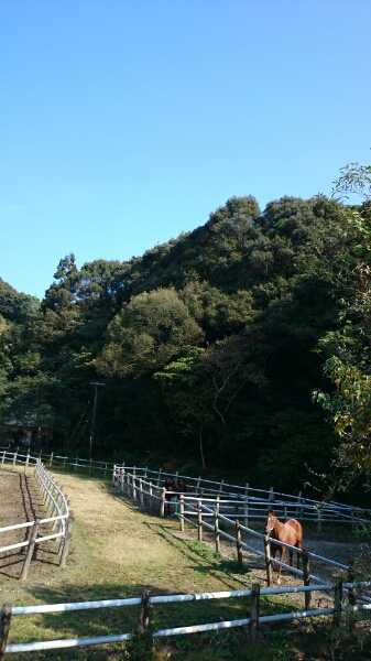 b0187620_2112513.jpg