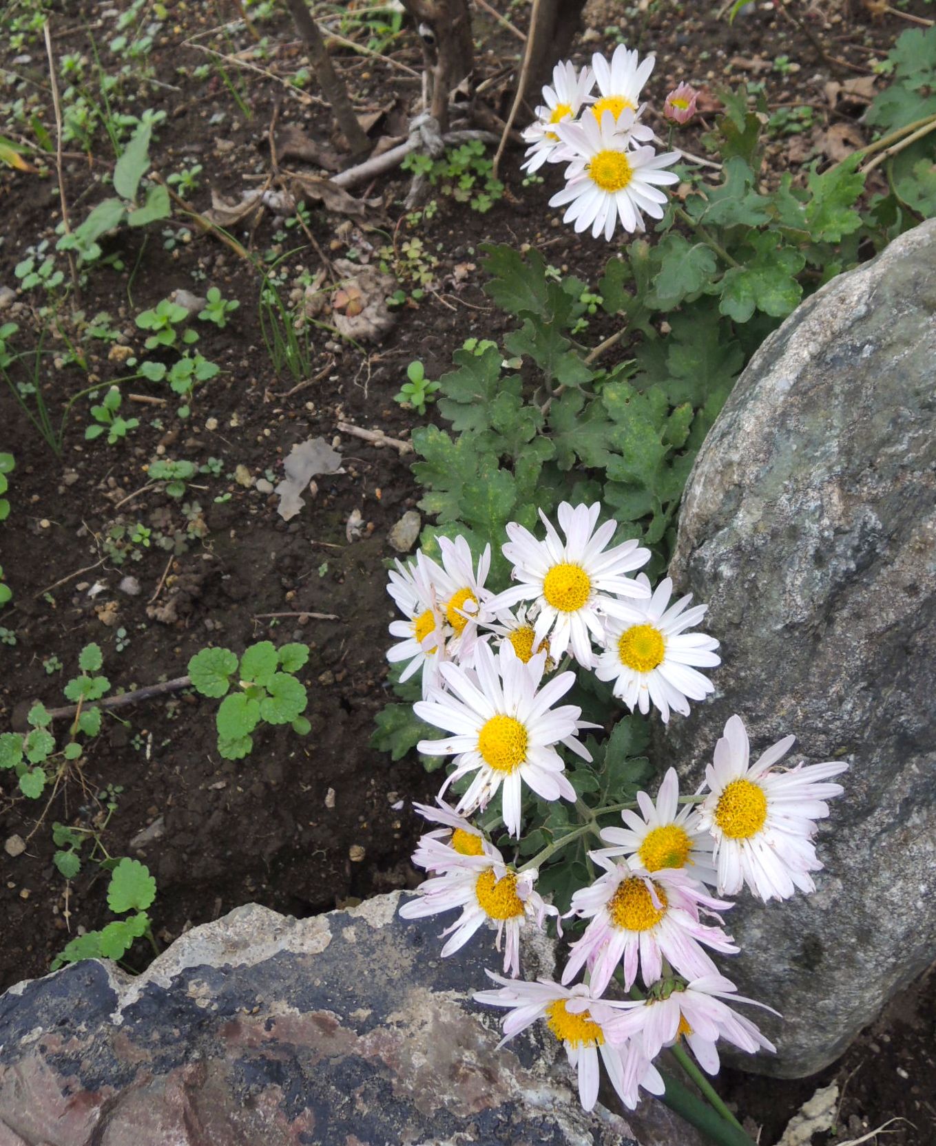 f0229926_12304828.jpg