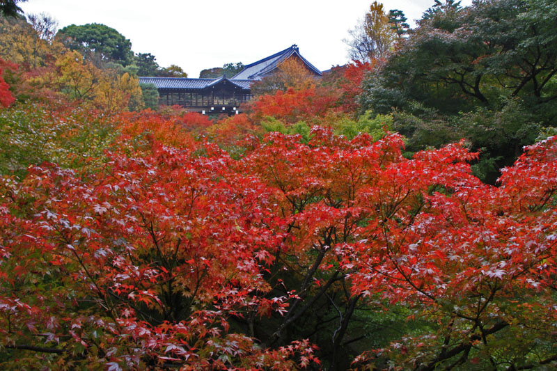b0042837_21112833.jpg