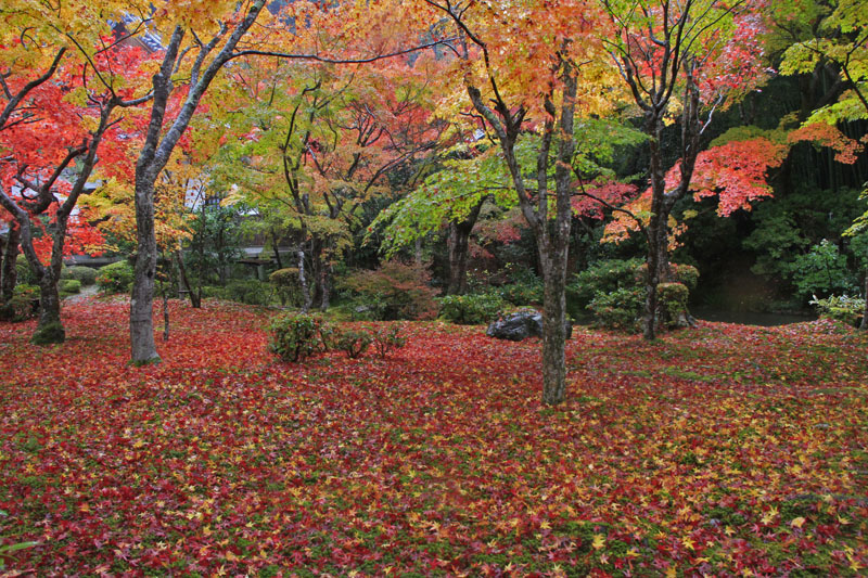 b0042837_21294578.jpg