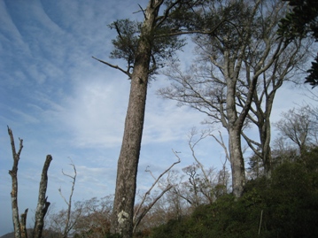 c0077338_21522157.jpg