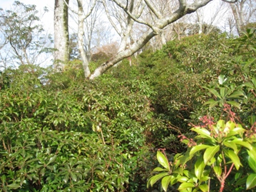 c0077338_21524813.jpg