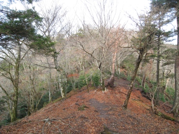 c0077338_2152671.jpg