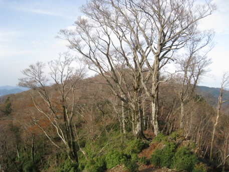 c0077338_21531559.jpg
