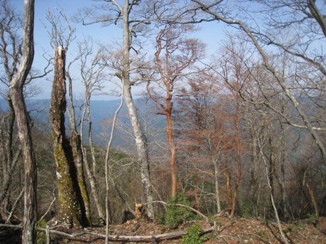 c0077338_21541222.jpg