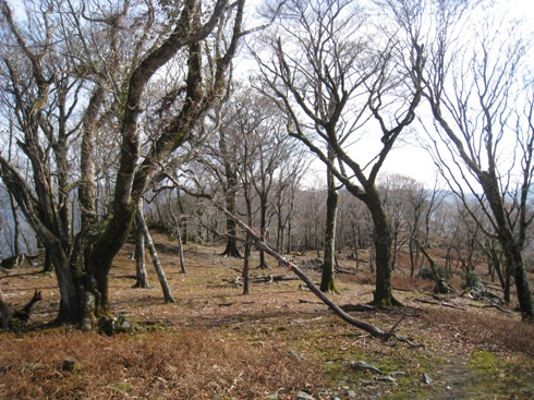 c0077338_2154239.jpg