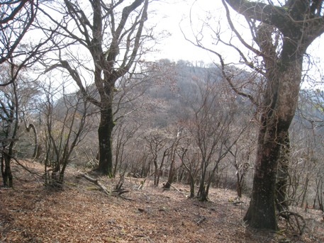 c0077338_21542584.jpg