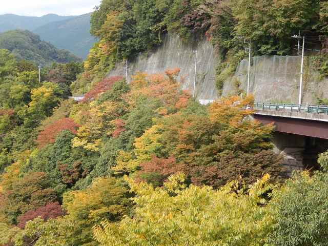 a0048040_23361198.jpg