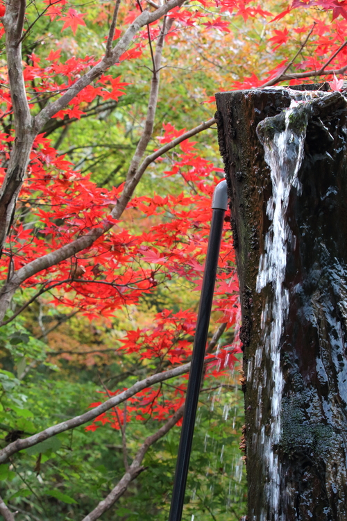 b0243152_11131591.jpg