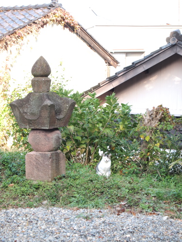 f0222387_2124275.jpg