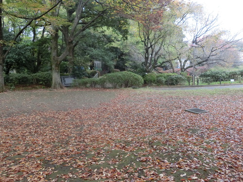 a0319693_16584071.jpg
