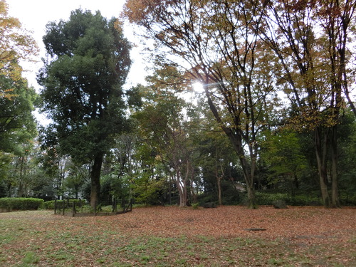 a0319693_16592563.jpg