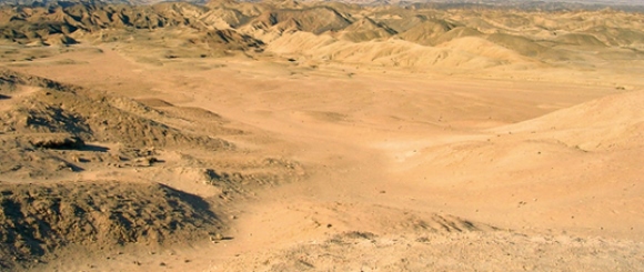 a0152009_0532131.jpg