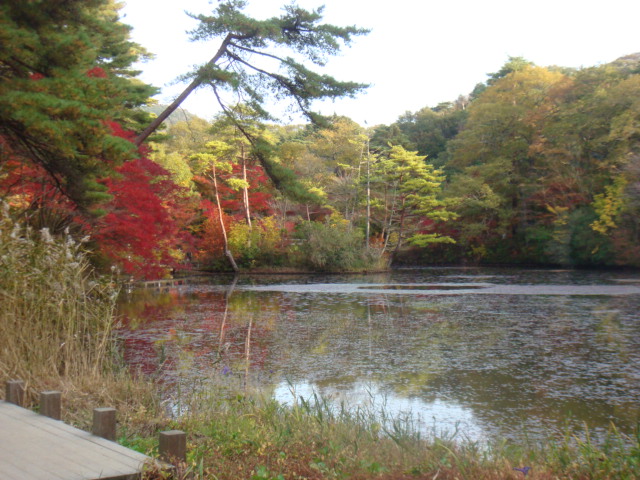 a0019212_21402983.jpg
