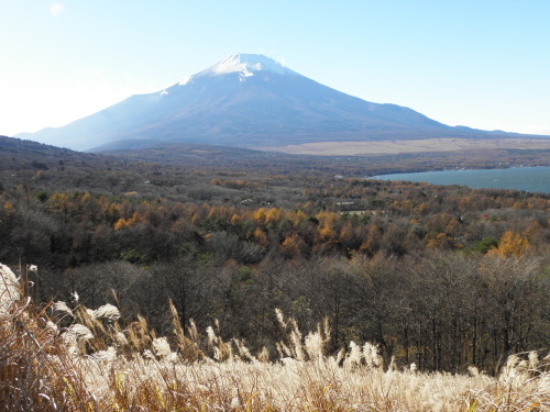 b0342516_22143404.jpg