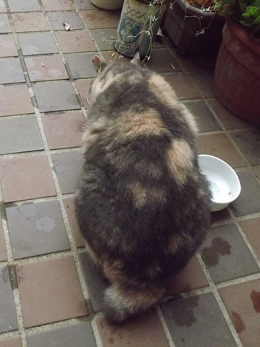c0158916_2035521.jpg