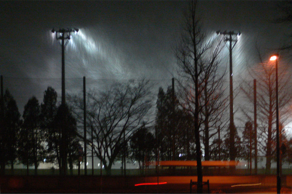 a0046429_19585454.jpg