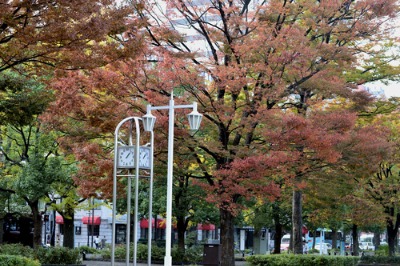 b0307951_2259155.jpg