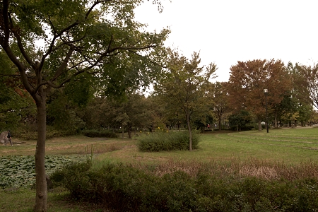 a0320564_21062092.jpg