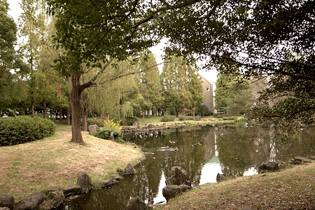 a0320564_21062135.jpg