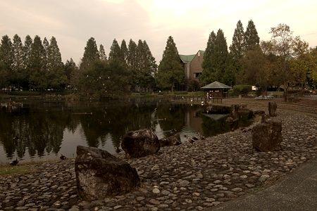 a0320564_21062246.jpg