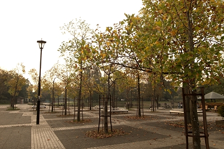 a0320564_21062564.jpg