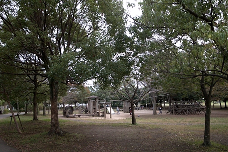 a0320564_21062829.jpg