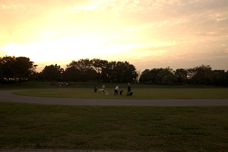 a0320564_21062859.jpg