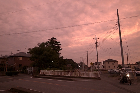 a0320564_21062942.jpg