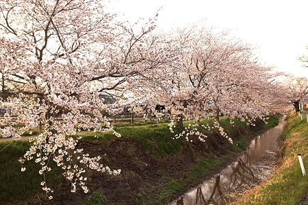 a0320564_21075761.jpg