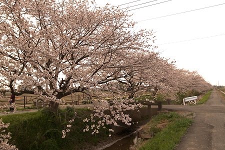 a0320564_21075803.jpg