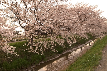 a0320564_21075806.jpg