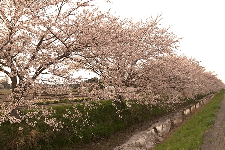a0320564_21075831.jpg