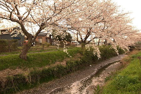 a0320564_21075926.jpg