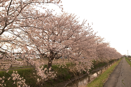 a0320564_21075945.jpg