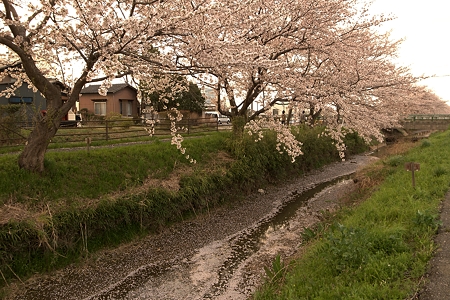 a0320564_21075953.jpg
