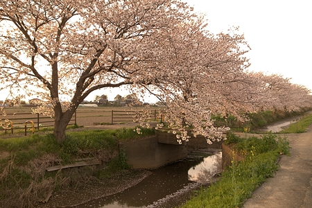 a0320564_21075972.jpg