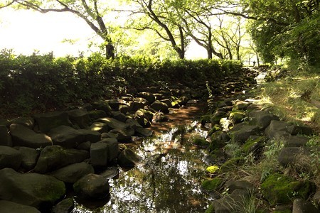 a0320564_21084248.jpg