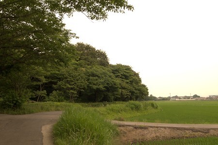 a0320564_21084254.jpg