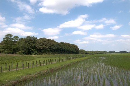 a0320564_21084354.jpg