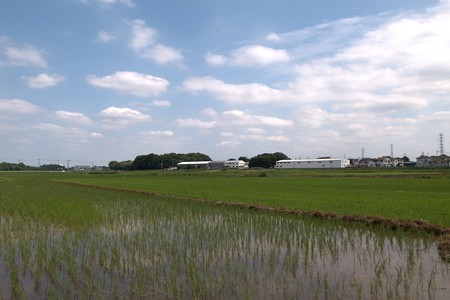a0320564_21084361.jpg