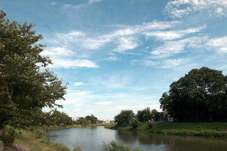 a0320564_21090859.jpg